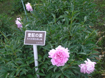 f0128723_1628366.jpg
