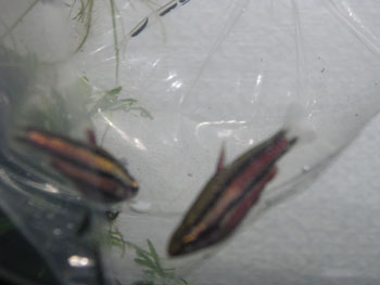 c0095824_2242876.jpg