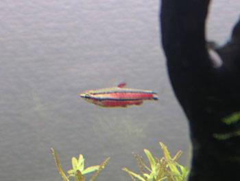 c0095824_225570.jpg