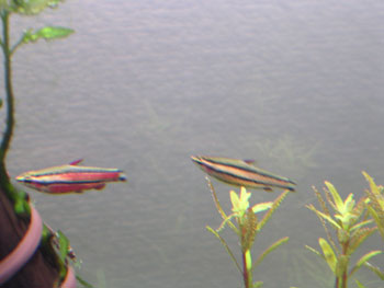 c0095824_2272222.jpg