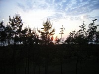 d0044825_1424211.jpg