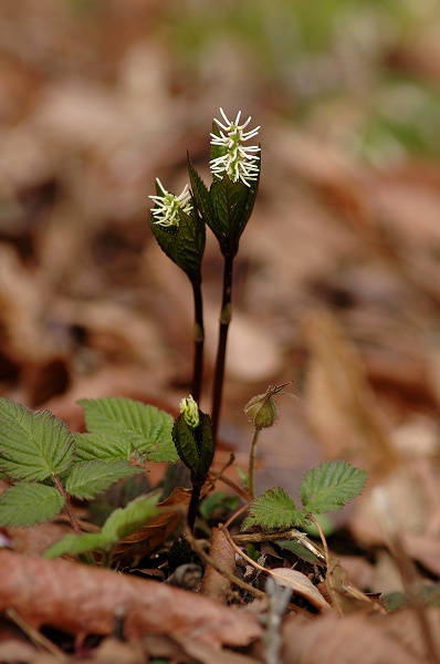 c0027027_23254450.jpg