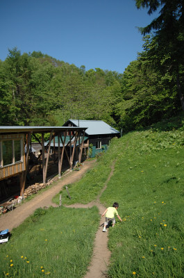 e0064128_016506.jpg
