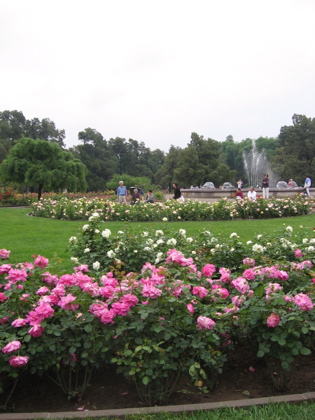 d0085939_2326516.jpg