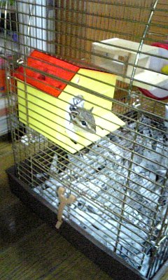 c0006440_14205529.jpg