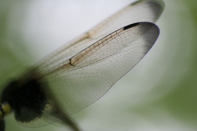 f0042548_040201.jpg