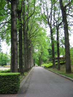 a0094449_20214725.jpg