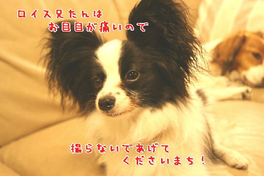 d0013149_23512695.jpg