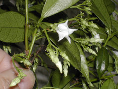a0088456_2059246.jpg