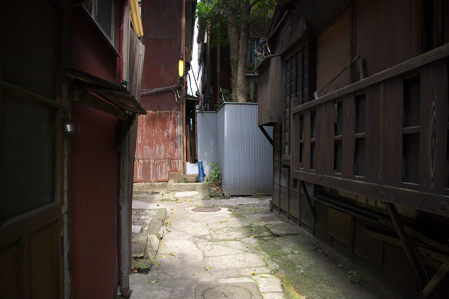 c0080357_21415689.jpg
