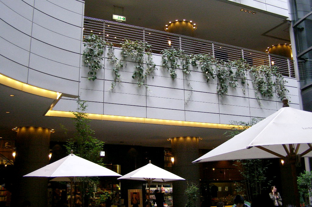 e0064158_0281934.jpg