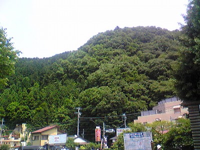c0024265_1174792.jpg