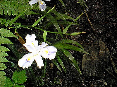 c0024265_118313.jpg