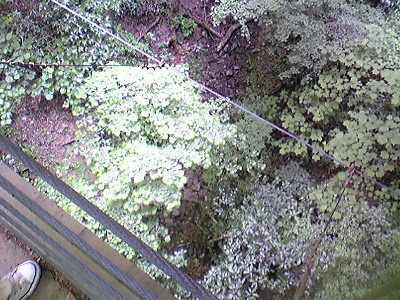 c0024265_1192894.jpg