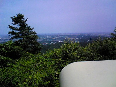 c0024265_119485.jpg