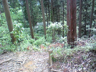 c0024265_1202116.jpg