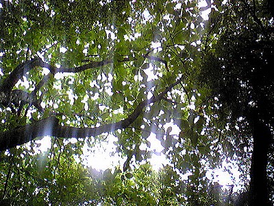 c0024265_1203766.jpg