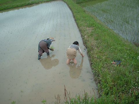 b0032167_029060.jpg