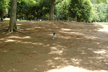f0065768_17331136.jpg