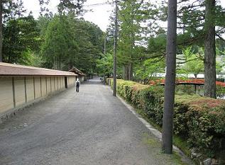c0001269_2218730.jpg
