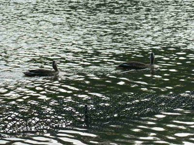 f0086169_20282037.jpg