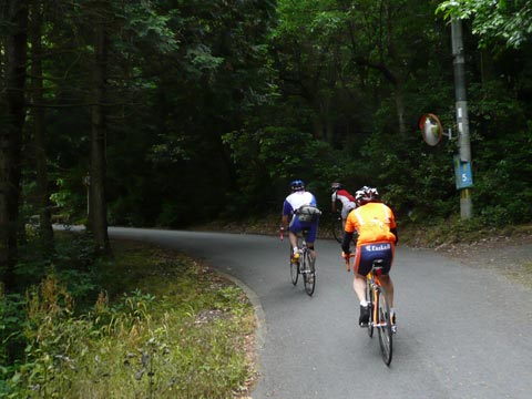 c0107075_11595195.jpg