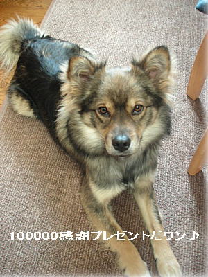 f0128076_15172742.jpg