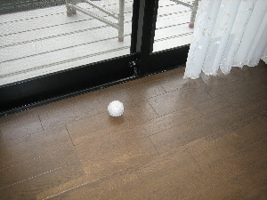 d0116578_1812372.jpg
