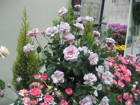 b0032079_0463988.jpg