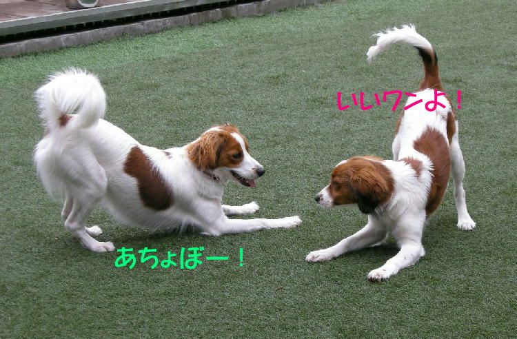 c0075585_2275937.jpg
