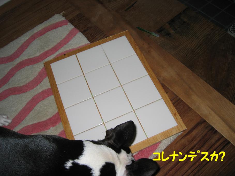 a0080889_051265.jpg