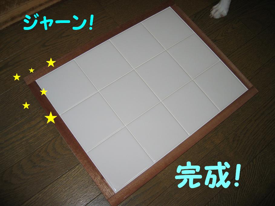 a0080889_121471.jpg