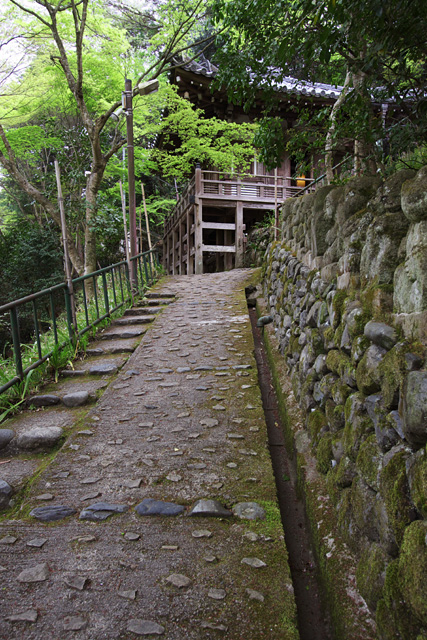 b0067789_22404666.jpg