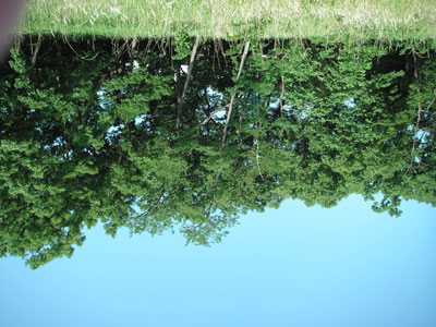 a0098690_11343295.jpg