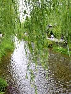 a0079292_15424593.jpg