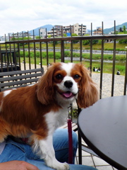 a0079292_16152230.jpg