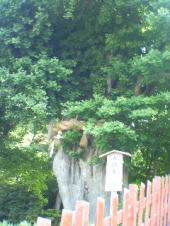 f0008692_19145573.jpg
