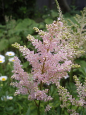 f0130894_2154745.jpg