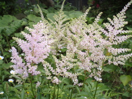 f0130894_2156178.jpg