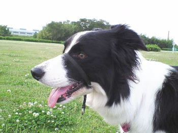 f0082396_21294031.jpg