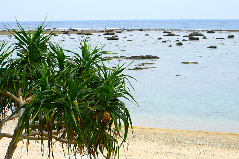 a0078698_13331478.jpg