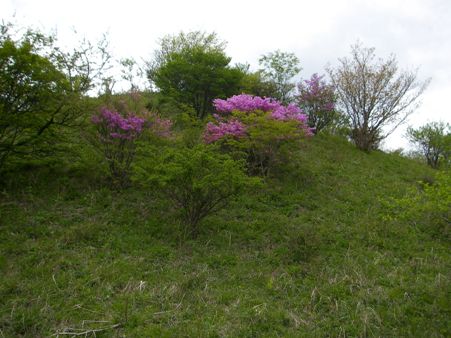 b0061798_11453616.jpg