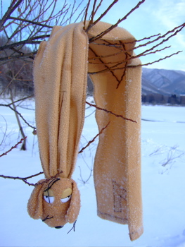 f0001698_117358.jpg