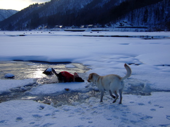 f0001698_124649.jpg