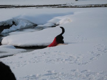 f0001698_162645.jpg
