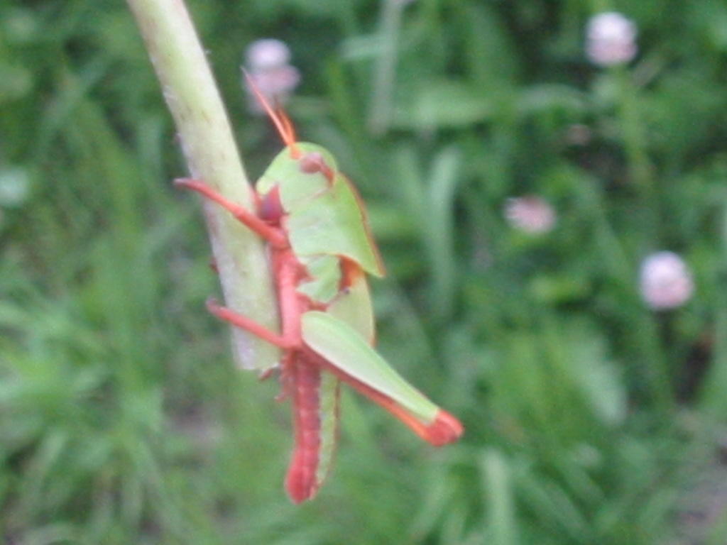 f0013998_615090.jpg