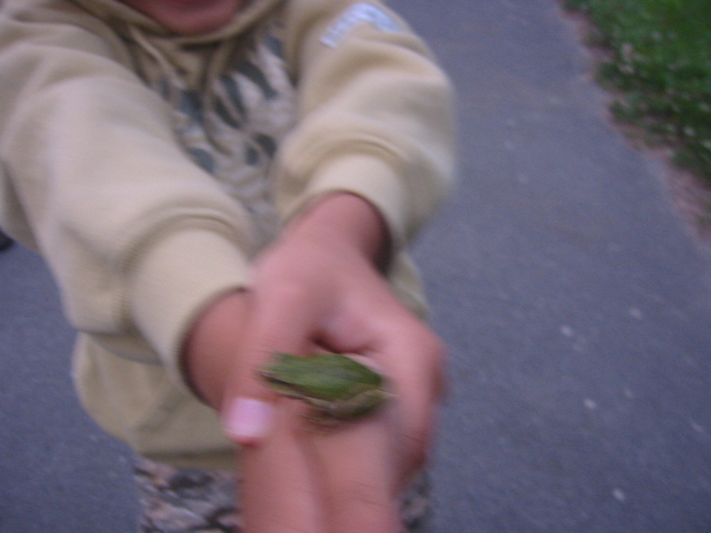 f0013998_62263.jpg