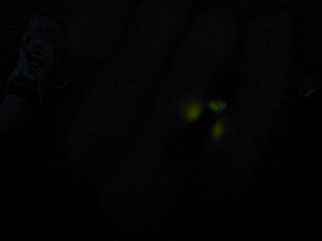 f0013998_63424.jpg