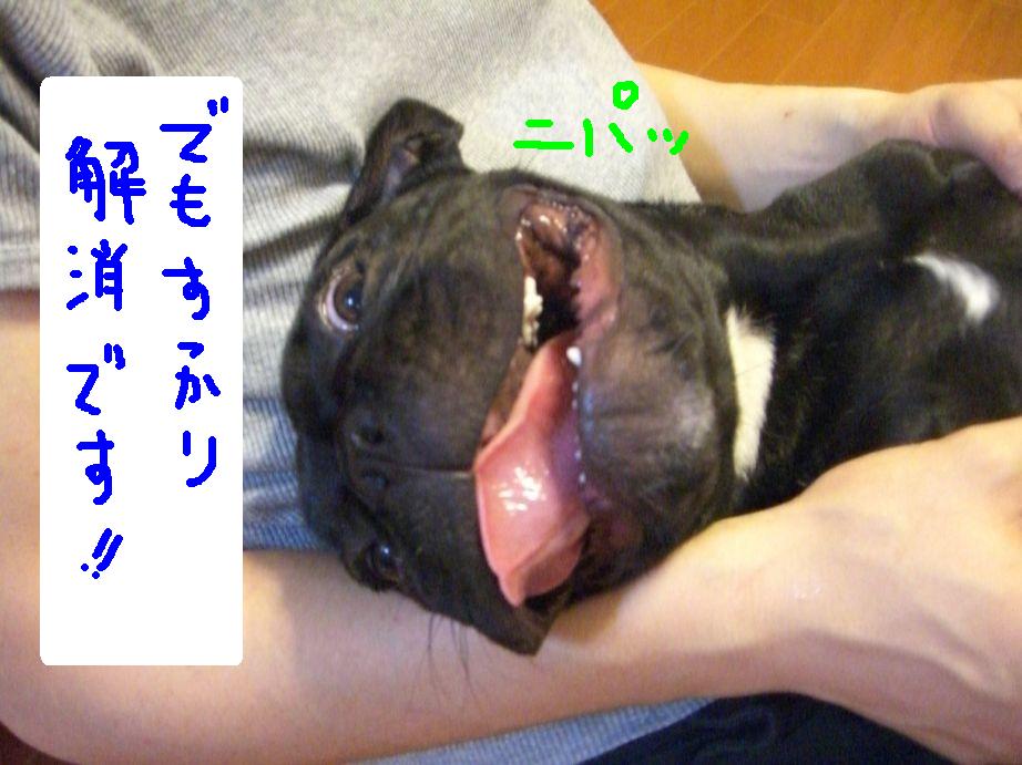 c0113109_0245511.jpg