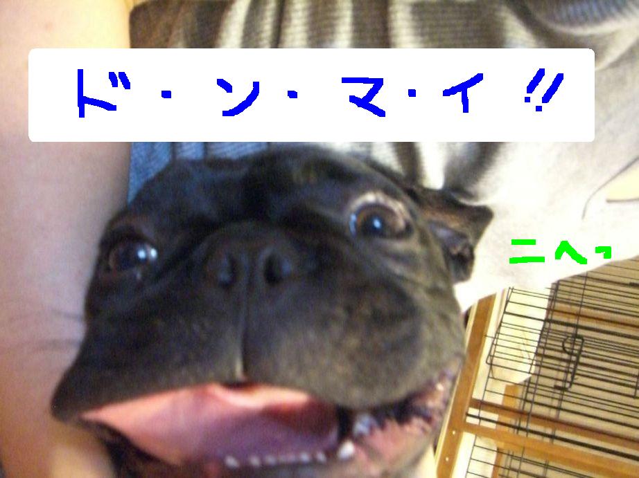 c0113109_0251159.jpg